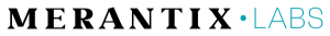 Merantix Labs, a part of the U4I-Eco-System