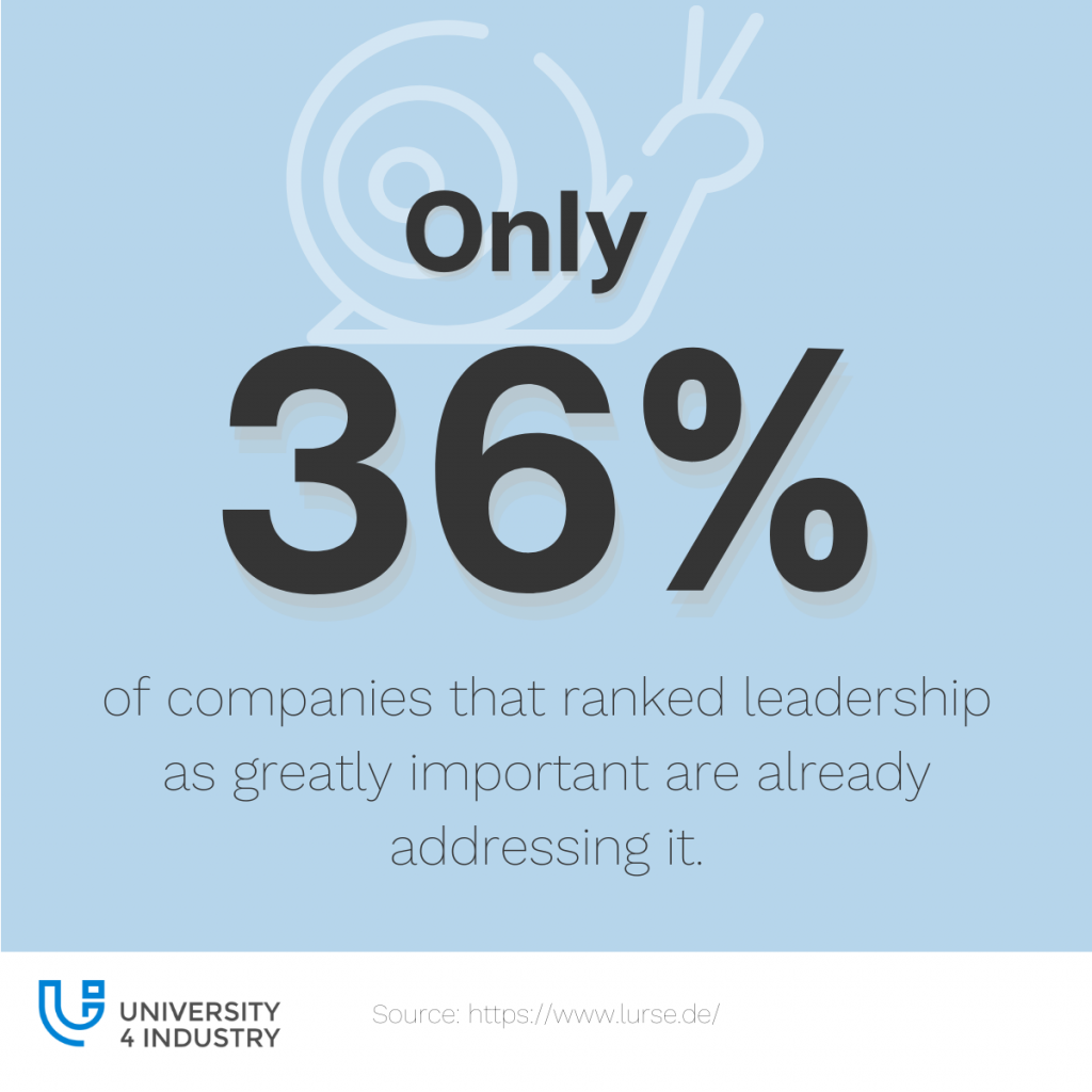 HR Leadership Lurse
